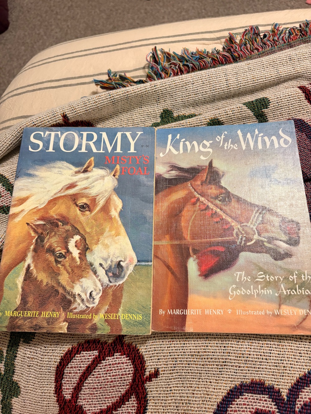 Stormy & King of the Wind Horse Book Set - Blue and Brown Covers